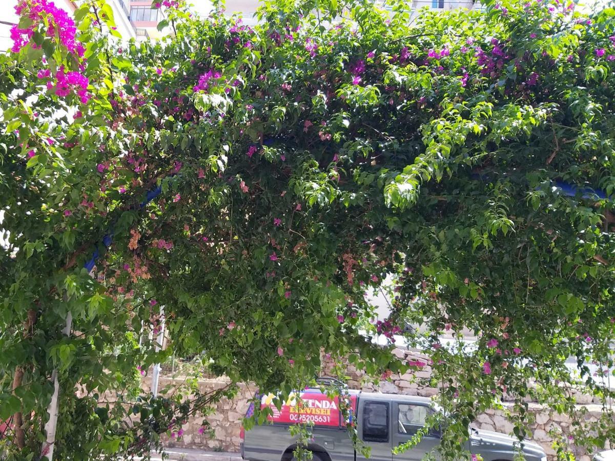 Iraa'S Apartment Sarande Ngoại thất bức ảnh